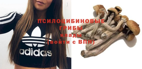 трава Касимов