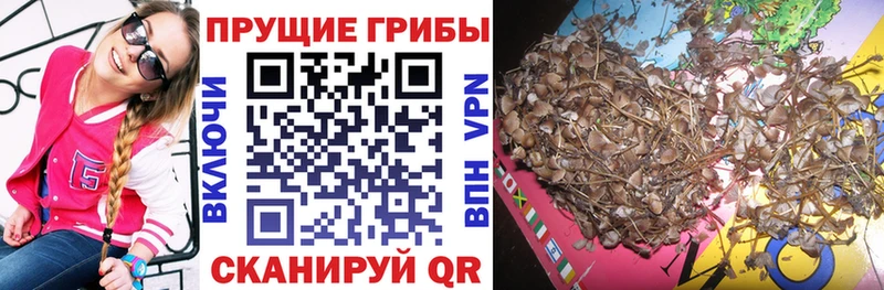 Псилоцибиновые грибы прущие грибы  Купить где  Железногорск-Илимский 